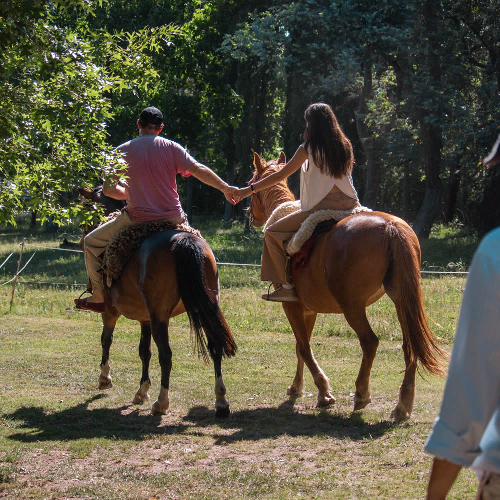 dia de campo secundaria